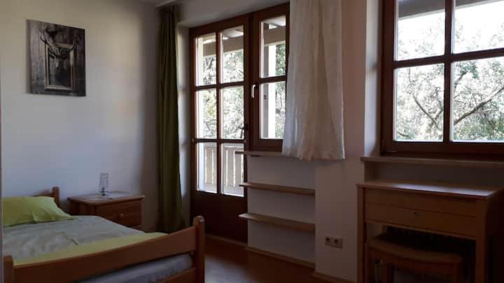 Goldsteig-Einzelzimmer Windischeschenbach Extérieur photo
